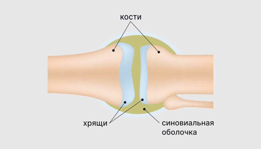 Кости