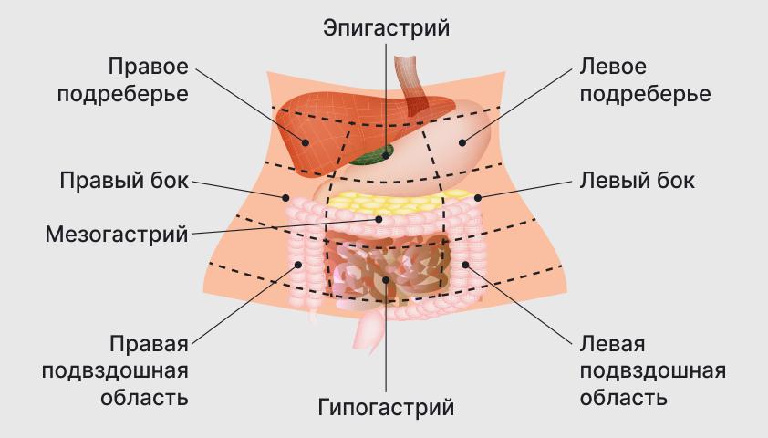 Эпигастрий