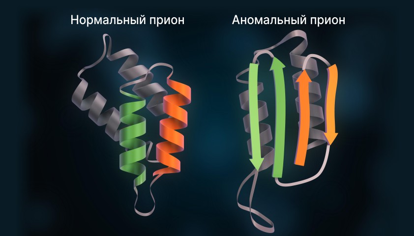 Прионы