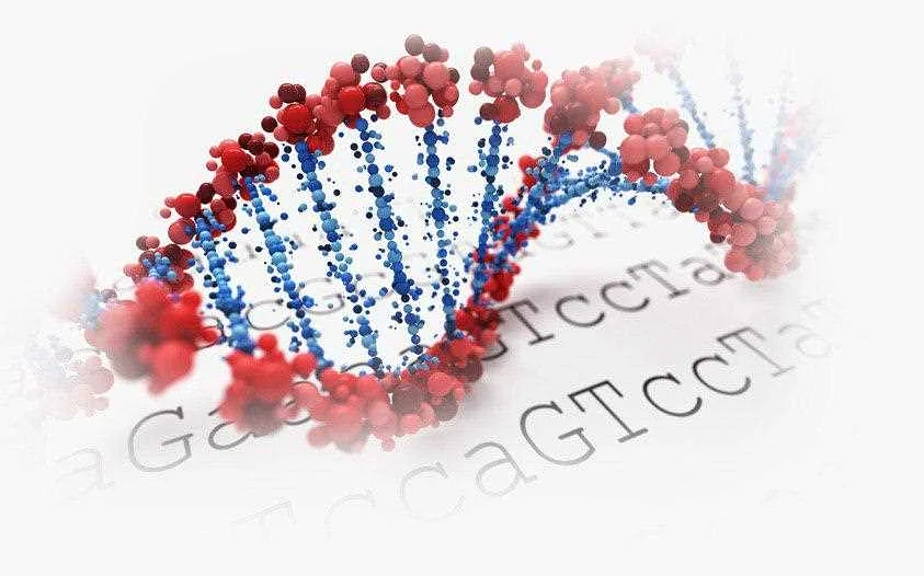 Связь между генетикой и онкологией