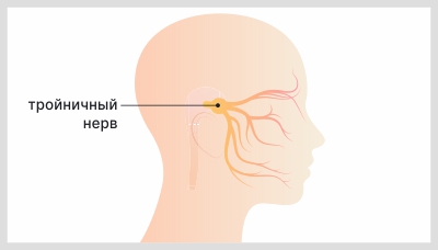 Тройничный нерв — это парный орган, каждая из двух частей отвечает за свою сторону лица