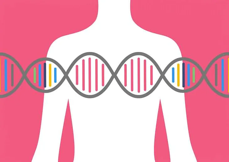 Риск развития рака груди при наличии мутаций BRCA
