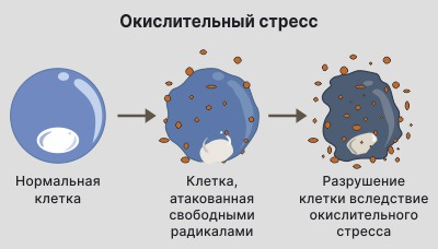 Изображение окислительного стресса