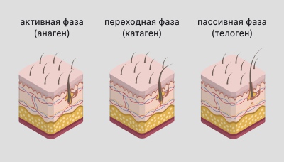 Менструация после родов - когда начинаются месячные после родов?