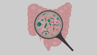 Бактерии в кишечнике